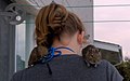 Heads-and-Tails Degus.jpg