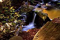 Autumn Flow (73282237).jpeg