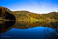 Autumn (127516629).jpeg