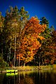 Autumn Impression (182762961).jpeg