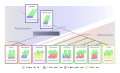 Tetrapod vertebrae.svg