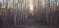 Autumn (8186002591).jpg