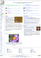 French Wikipedia screenshot - 2007-07-16.png