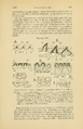 PZSL1907Page0753.png