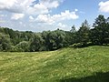 Aubinger Lohe 5590.jpg