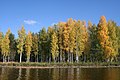 Autumn Beach (127906087).jpeg