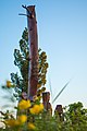 Trianon Memorial detail oak tree trunk in Budapest District XVI.jpg