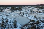 Männikjärve raba. Endla soostik 076