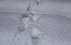http://www.360.ee/cache/multithumb_thumbs/c.250.160.16777215.0...images.stories.blogi-pildid.karumatk%202.jpg