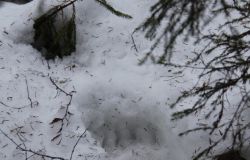http://www.360.ee/cache/multithumb_thumbs/c.250.160.16777215.0...images.stories.blogi-pildid.karumatk%203.jpg