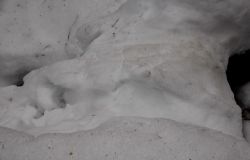 http://www.360.ee/cache/multithumb_thumbs/c.250.160.16777215.0...images.stories.blogi-pildid.karumatk%205.jpg