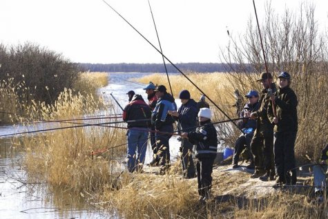 Saaremaa õngemehed