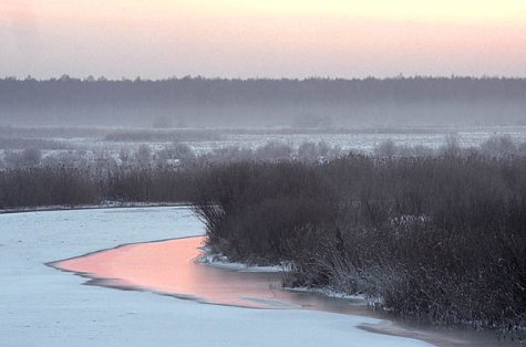 Suur-Emajõgi