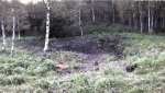 Hirvekaamera kährik